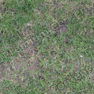 Seamless Grass 0017